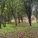 10292-ulfborg-baekbyvej-15 *