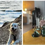 Сasa de vacaciones 10292-ulfborg-baekbyvej-15