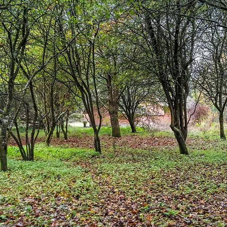 10292-ulfborg-baekbyvej-15 *