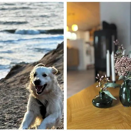 Tatil Evi 10292-ulfborg-baekbyvej-15