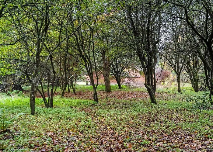 10292-ulfborg-baekbyvej-15 *