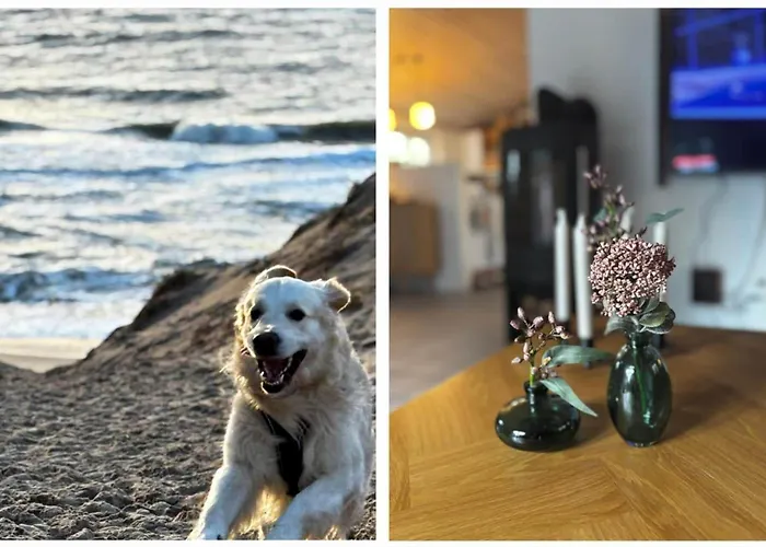 Holiday home 10292-ulfborg-baekbyvej-15